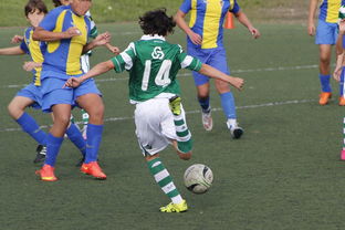 九游官网下载app下载-中国足球亚冠：上海申花逆转晋级，燃爆现场热潮，亚冠小组赛上海申花